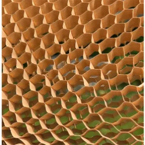 p20250124113716ad676